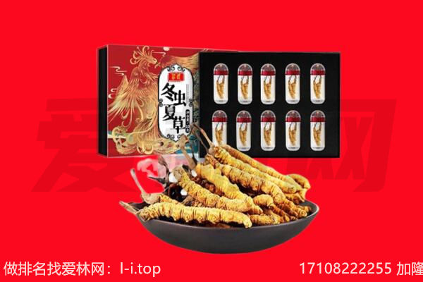 台北市回收虫草.jpg